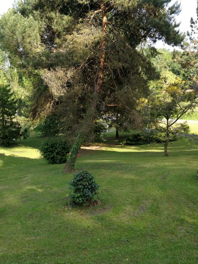 Le Jardin D Eau Hotel Lamothe-Montravel Eksteriør billede